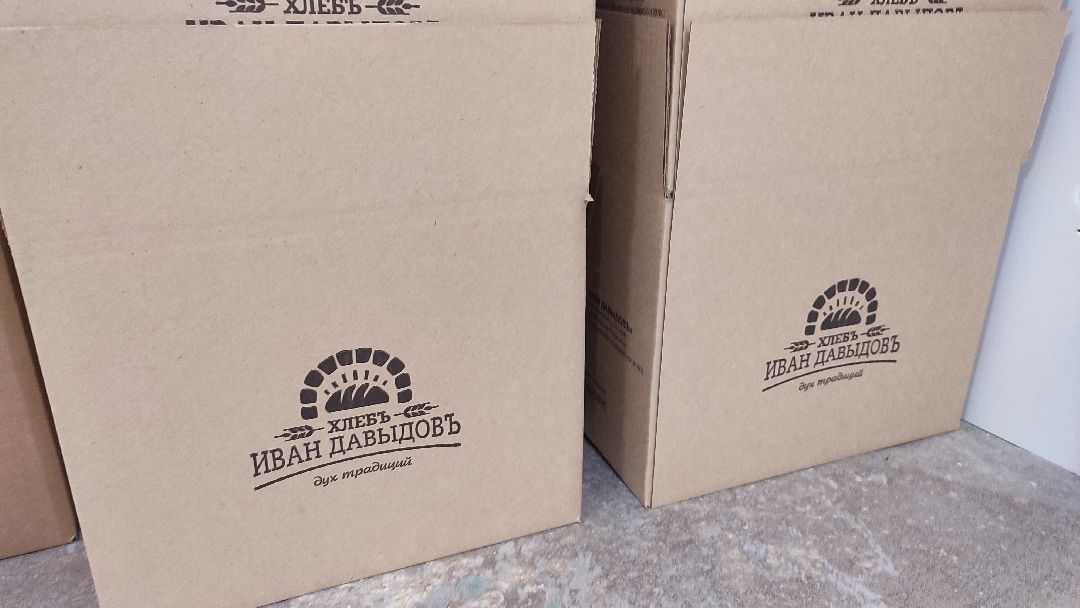 Кашира, общество