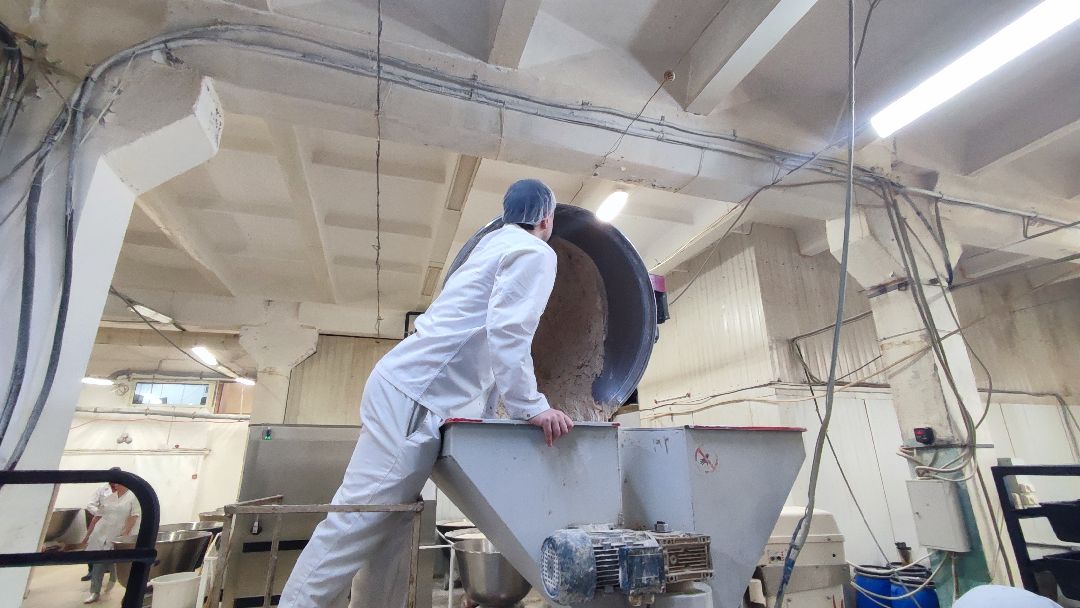 Кашира, общество