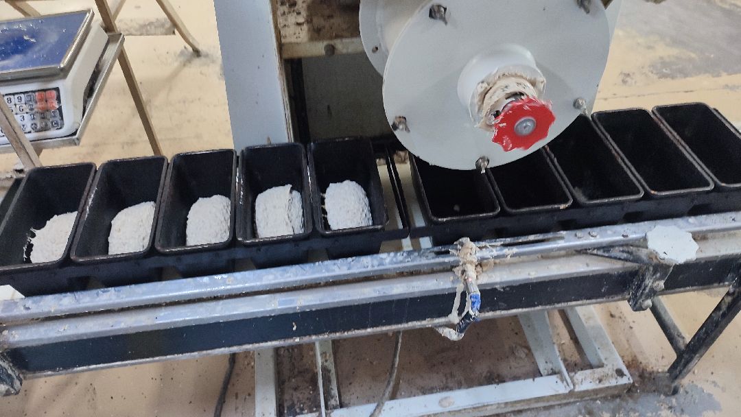 Кашира, общество