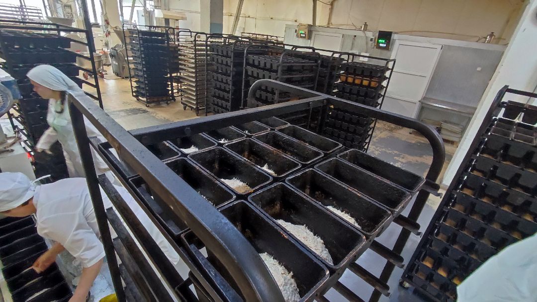 Кашира, общество