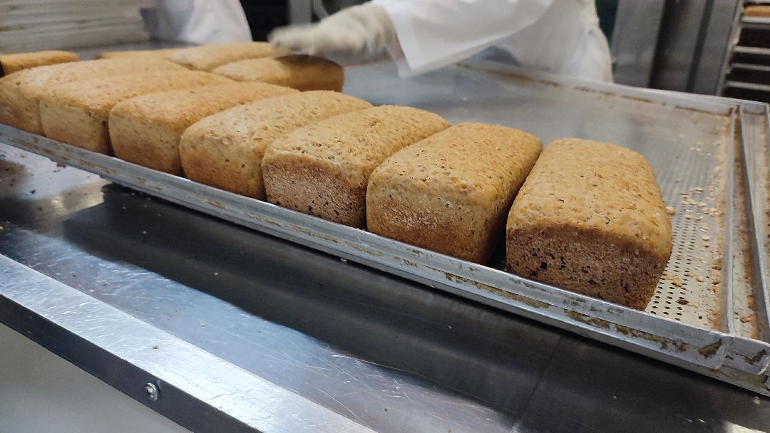 Кашира, общество