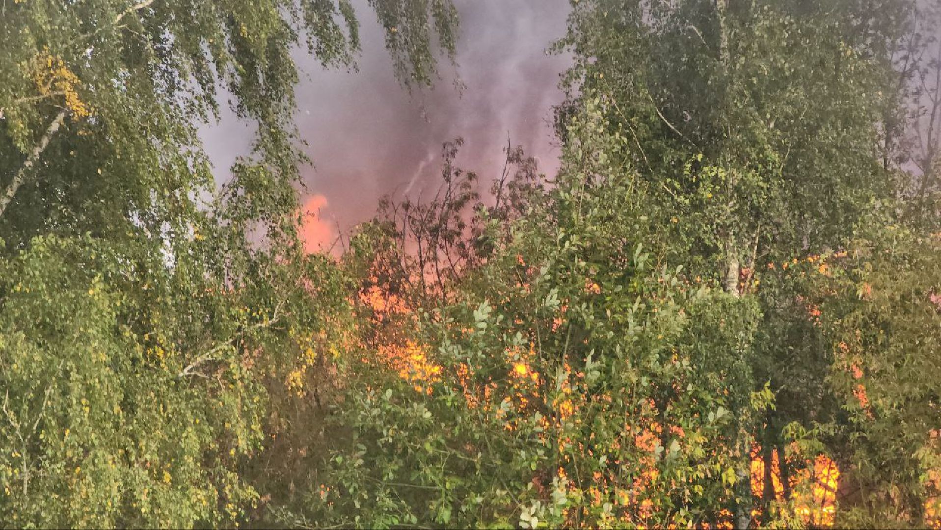 пожар, Шатура, МЧС,