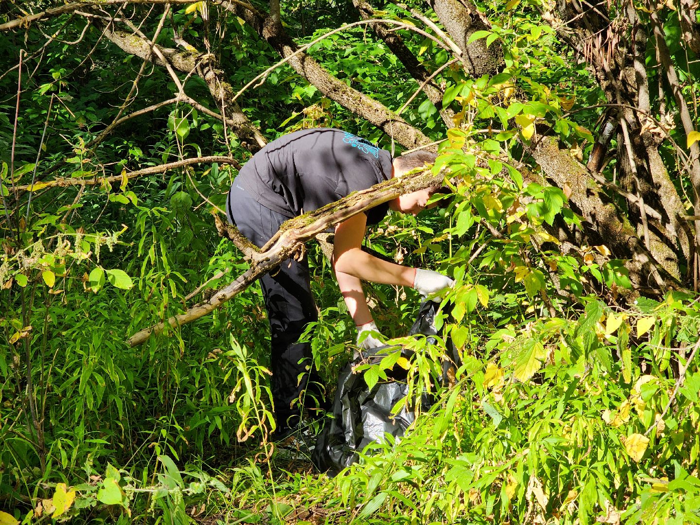 Ногинск, Эко акция, Жители, Общество, Субботник, Уборка, молодая гвардия, молодежный парламент,