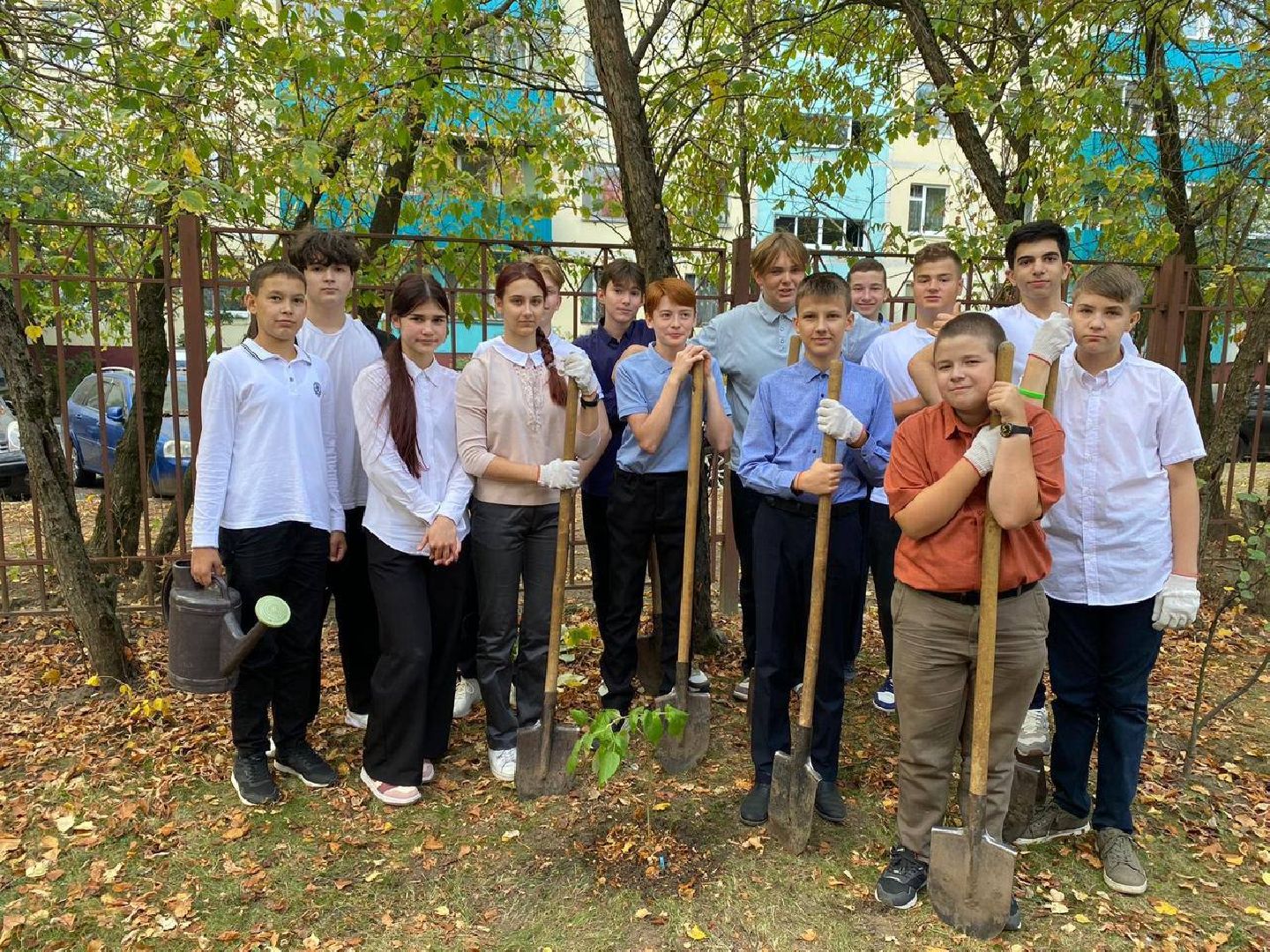 Реутов, День в лесу, посади свое дерево, высадка деревьев, кустарники, кизильник, ели, сосны, деревья,