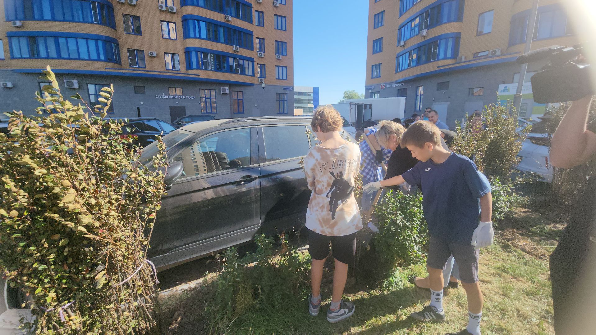 Реутов, День в лесу, посади свое дерево, высадка деревьев, кустарники, кизильник, ели, сосны, деревья,