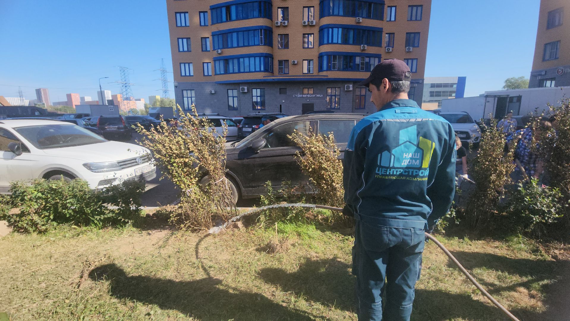 Реутов, День в лесу, посади свое дерево, высадка деревьев, кустарники, кизильник, ели, сосны, деревья,