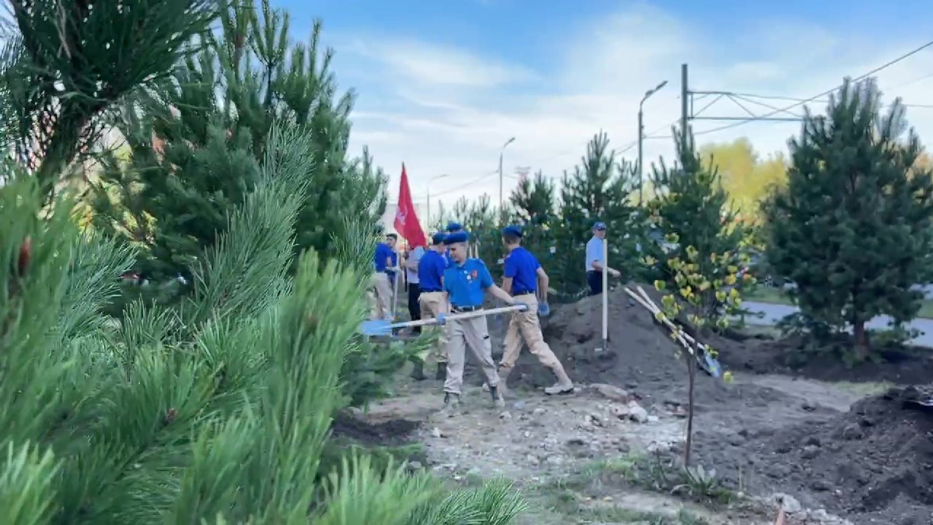 Реутов, День в лесу, посади свое дерево, высадка деревьев, кустарники, кизильник, ели, сосны, деревья,