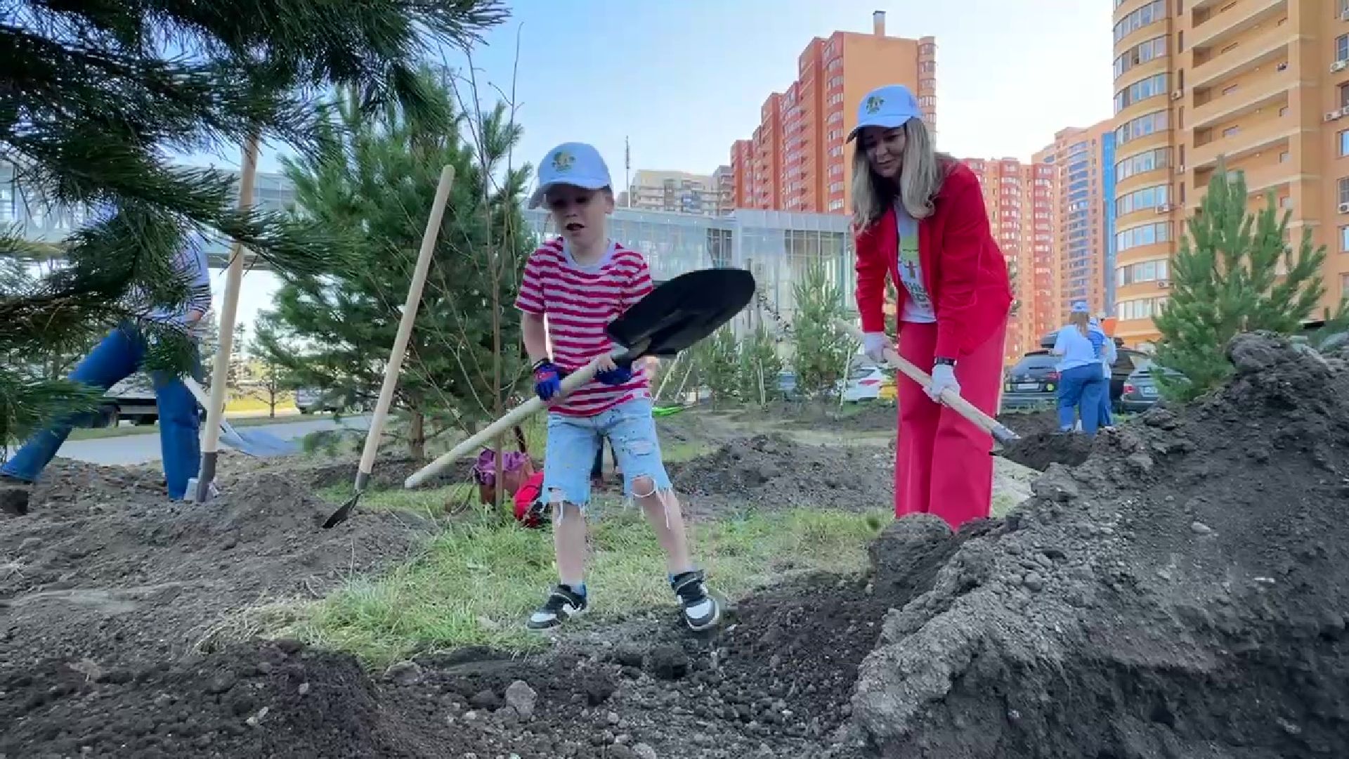 Реутов, День в лесу, посади свое дерево, высадка деревьев, кустарники, кизильник, ели, сосны, деревья,