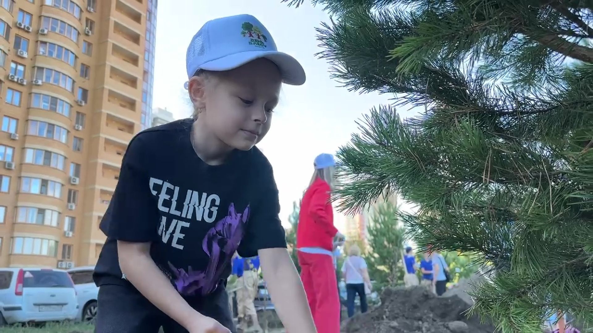 Реутов, День в лесу, посади свое дерево, высадка деревьев, кустарники, кизильник, ели, сосны, деревья,