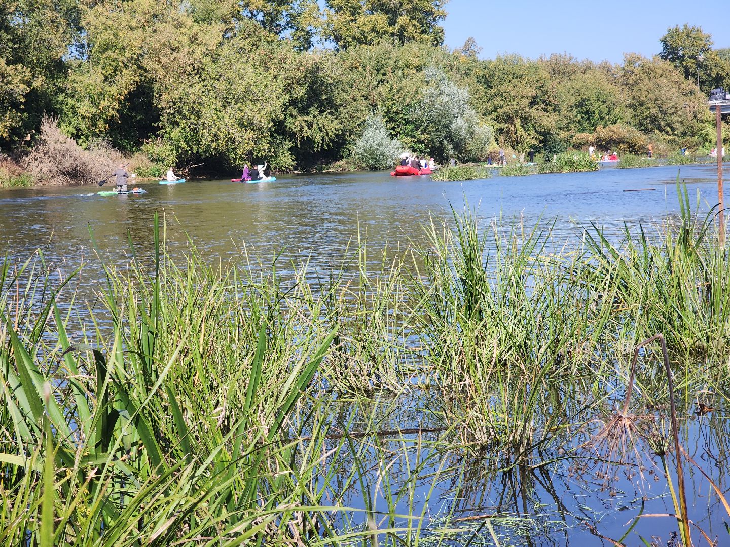 сплав, сплав на сапбордах, орехово зуево, день города 2024,