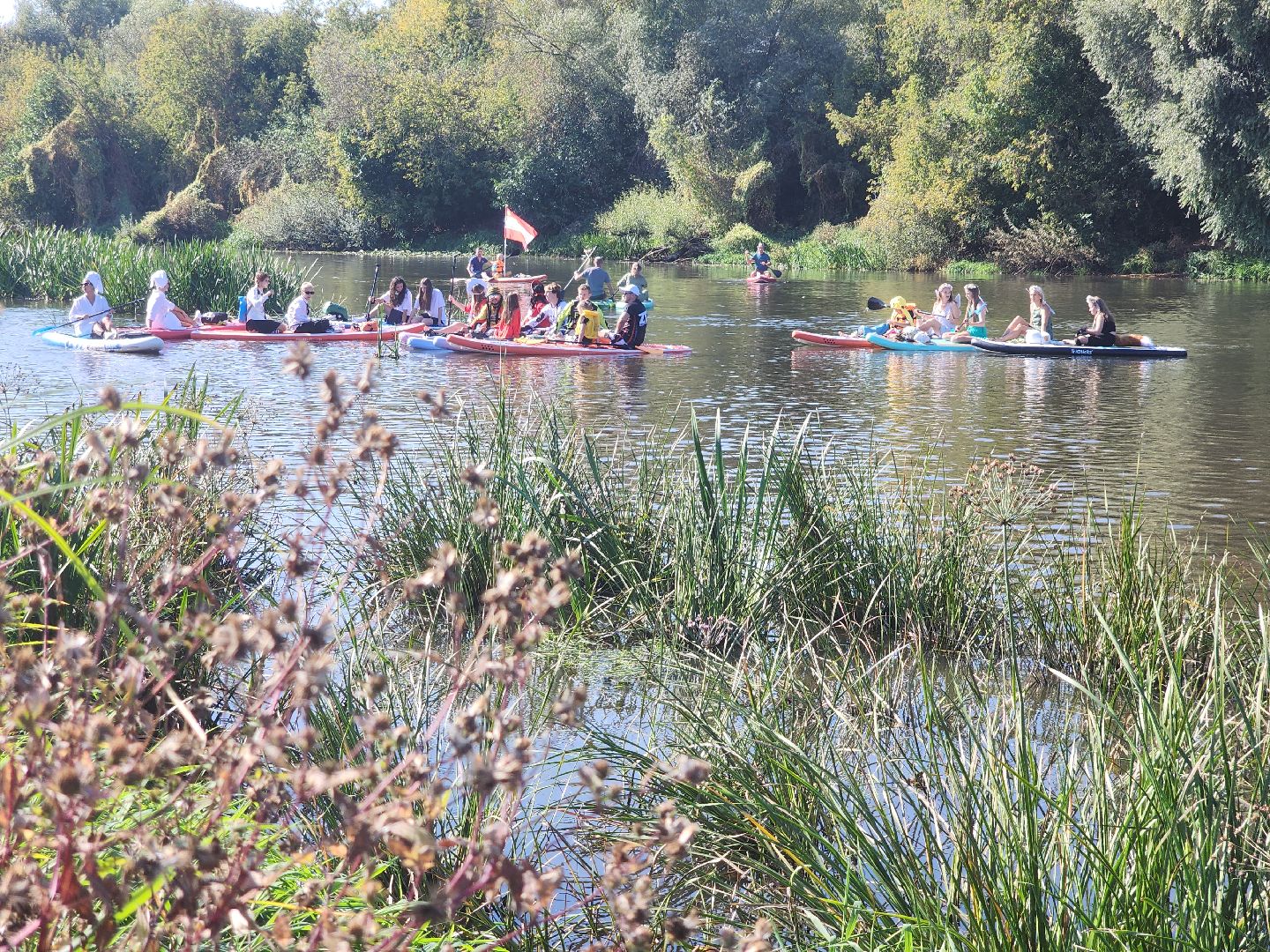 сплав, сплав на сапбордах, орехово зуево, день города 2024,