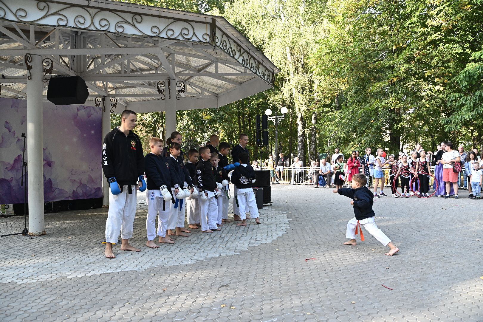 день города 2024, лыткарино день города, парк дк мир,