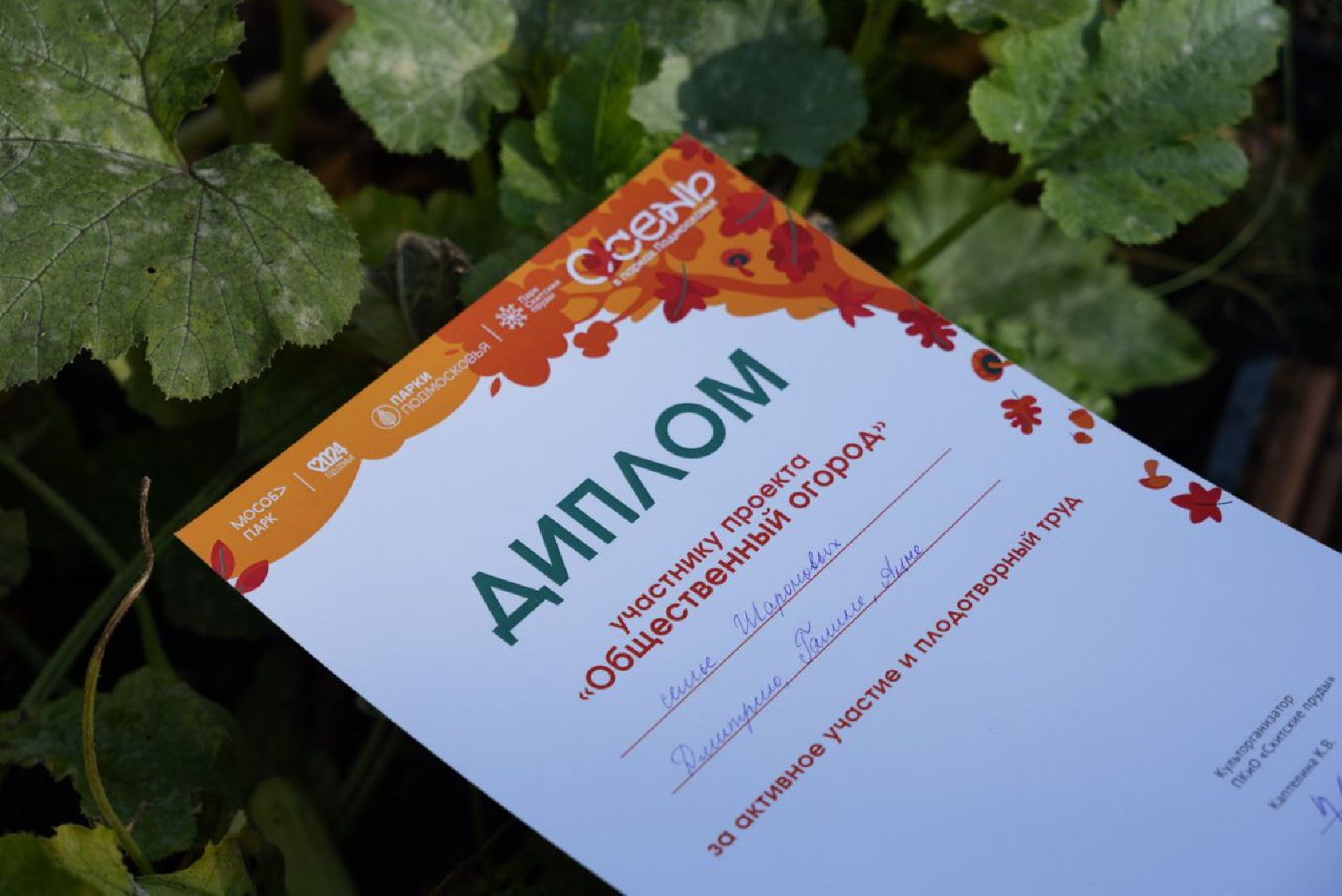 Парки Подмосковье, Парки МО, Скитские пруды, Сергиев Посад, Общественный огород,