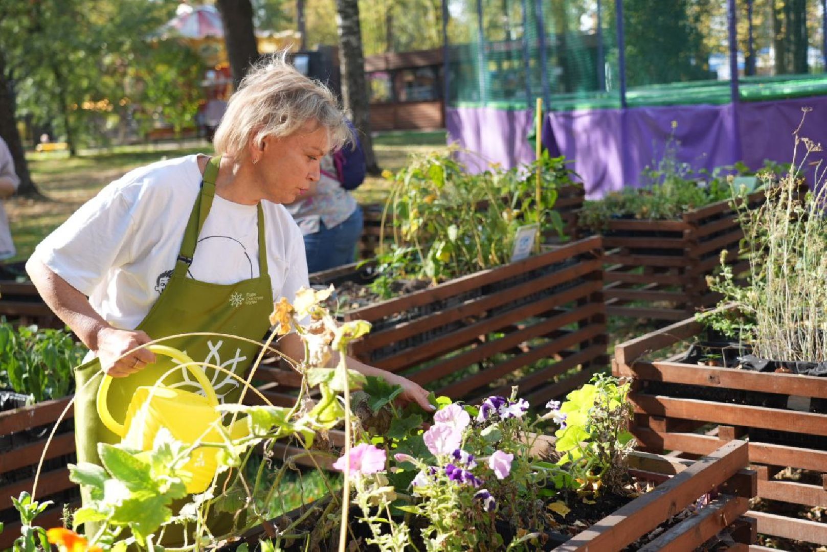 Парки Подмосковье, Парки МО, Скитские пруды, Сергиев Посад, Общественный огород,