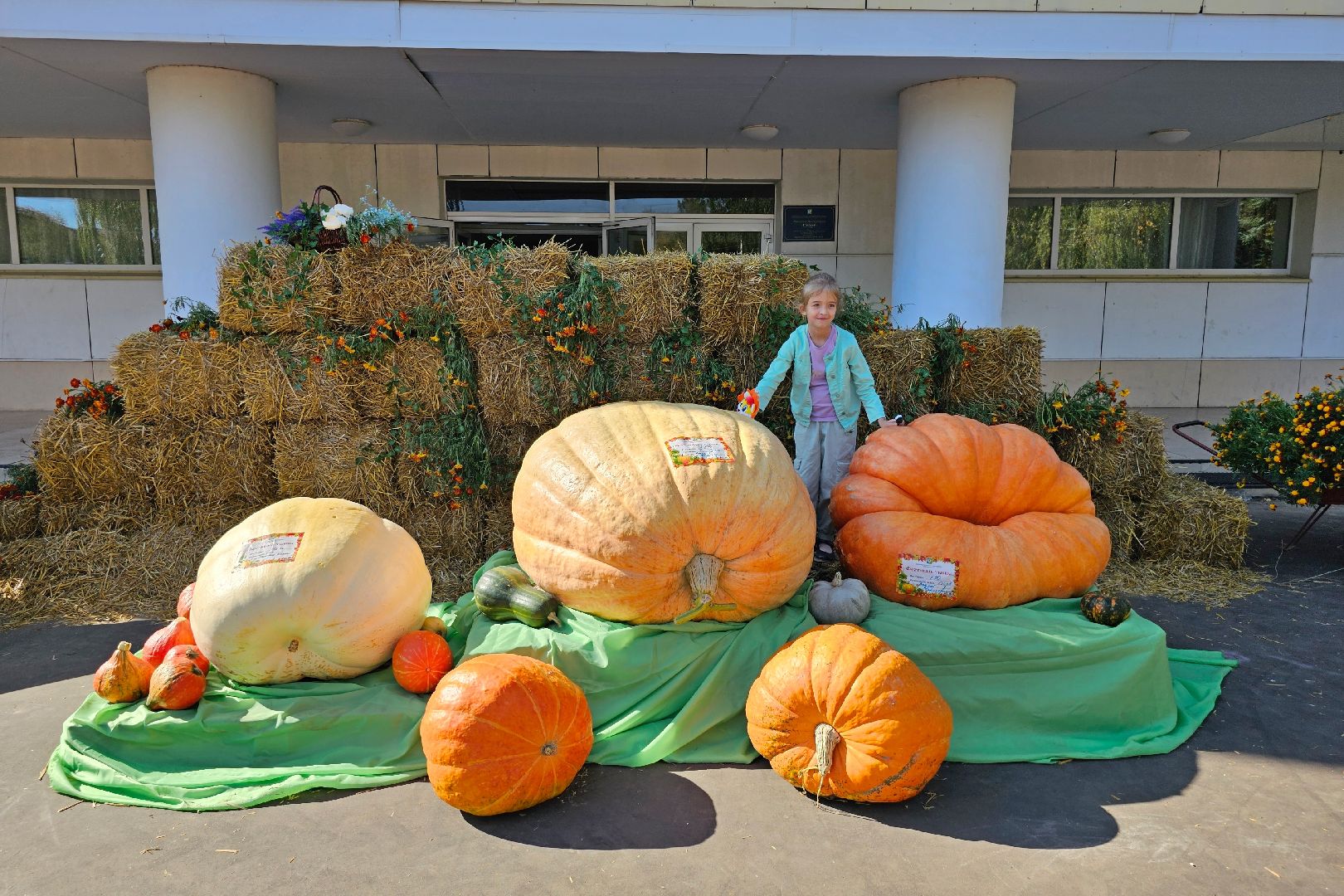 луховицы, фестиваль тыкв, сельское хозяйство, урожай 2024,