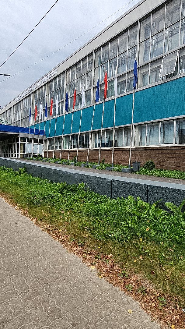 электросталь, электросталь спортивная, спорт в подмосковье, прыжки в воду, плавание, бассейн, мой город, спортсмены, юные спортсмены,