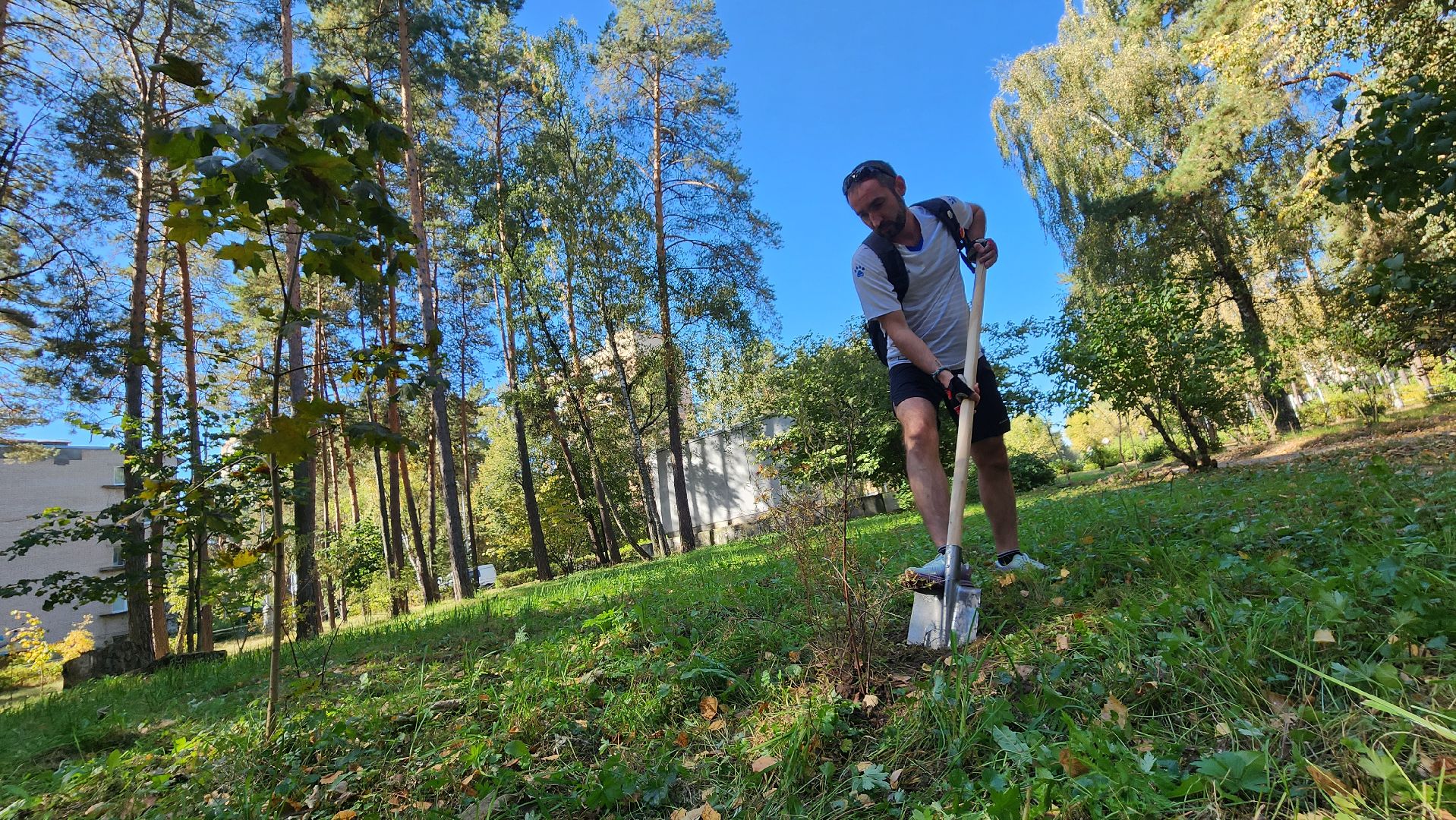 сохраним лес, экология, экологическая акция, протвино, мирабель,