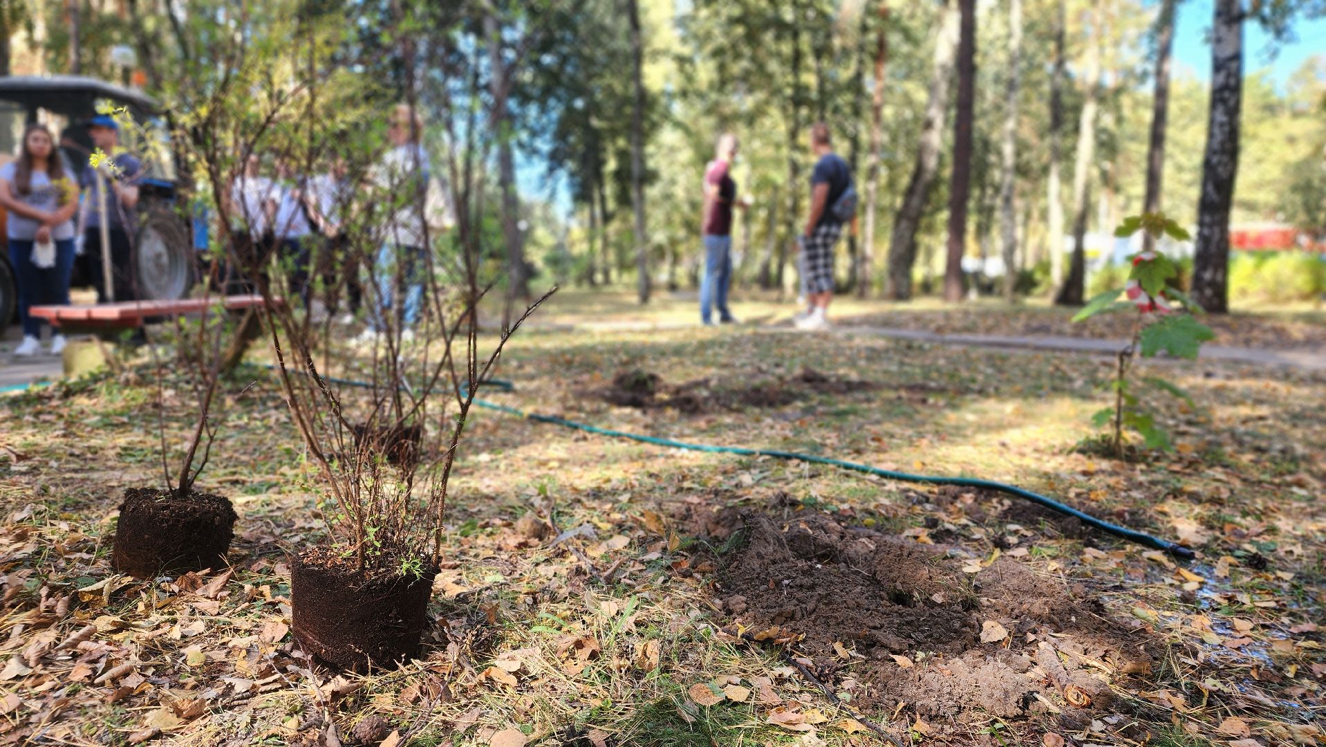 сохраним лес, экология, экологическая акция, протвино, мирабель,