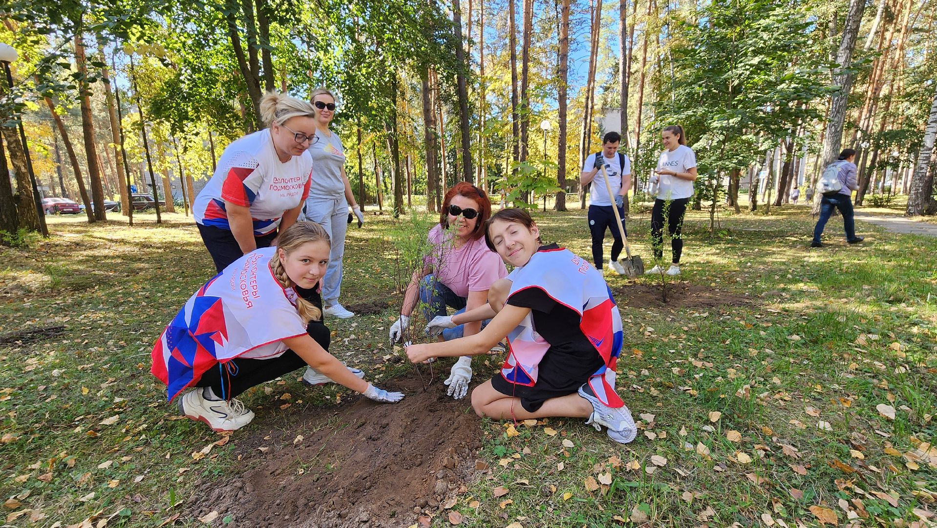 сохраним лес, экология, экологическая акция, протвино, мирабель,