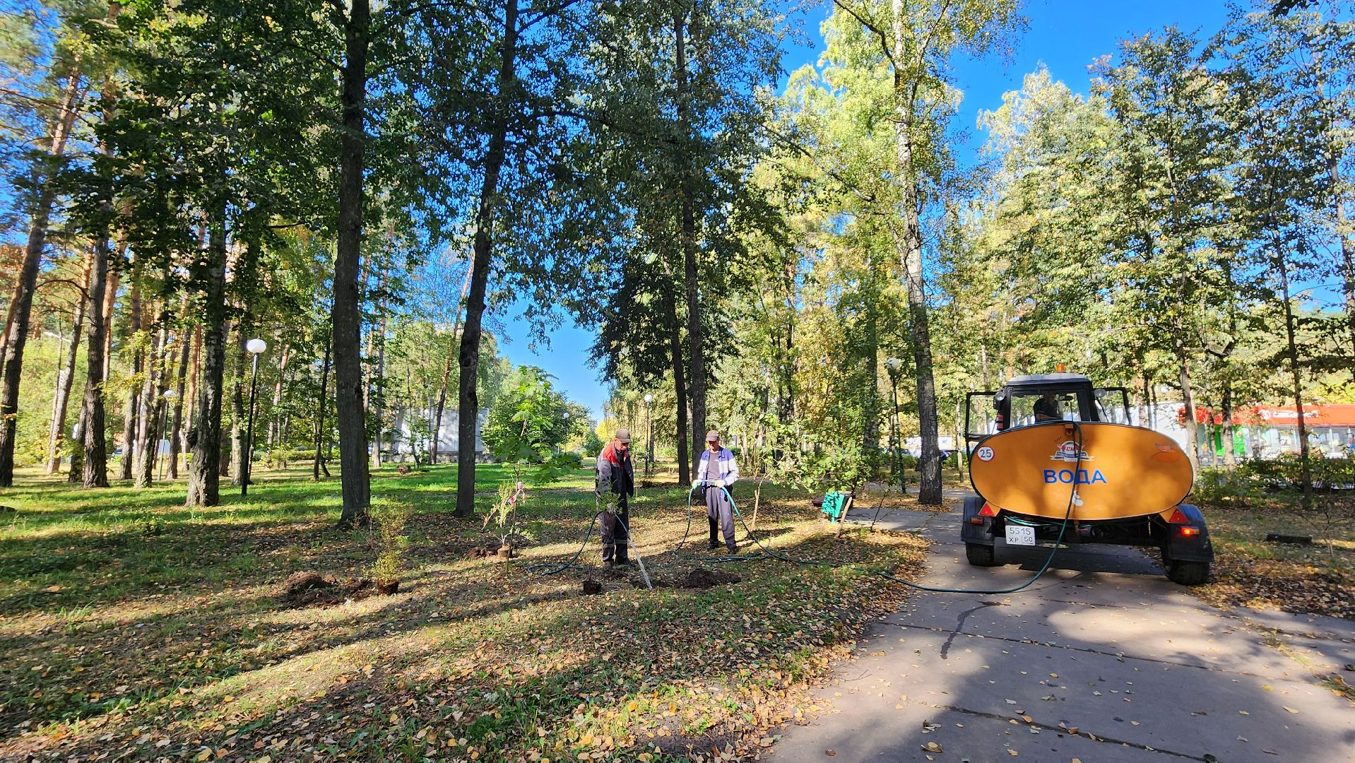 сохраним лес, экология, экологическая акция, протвино, мирабель,