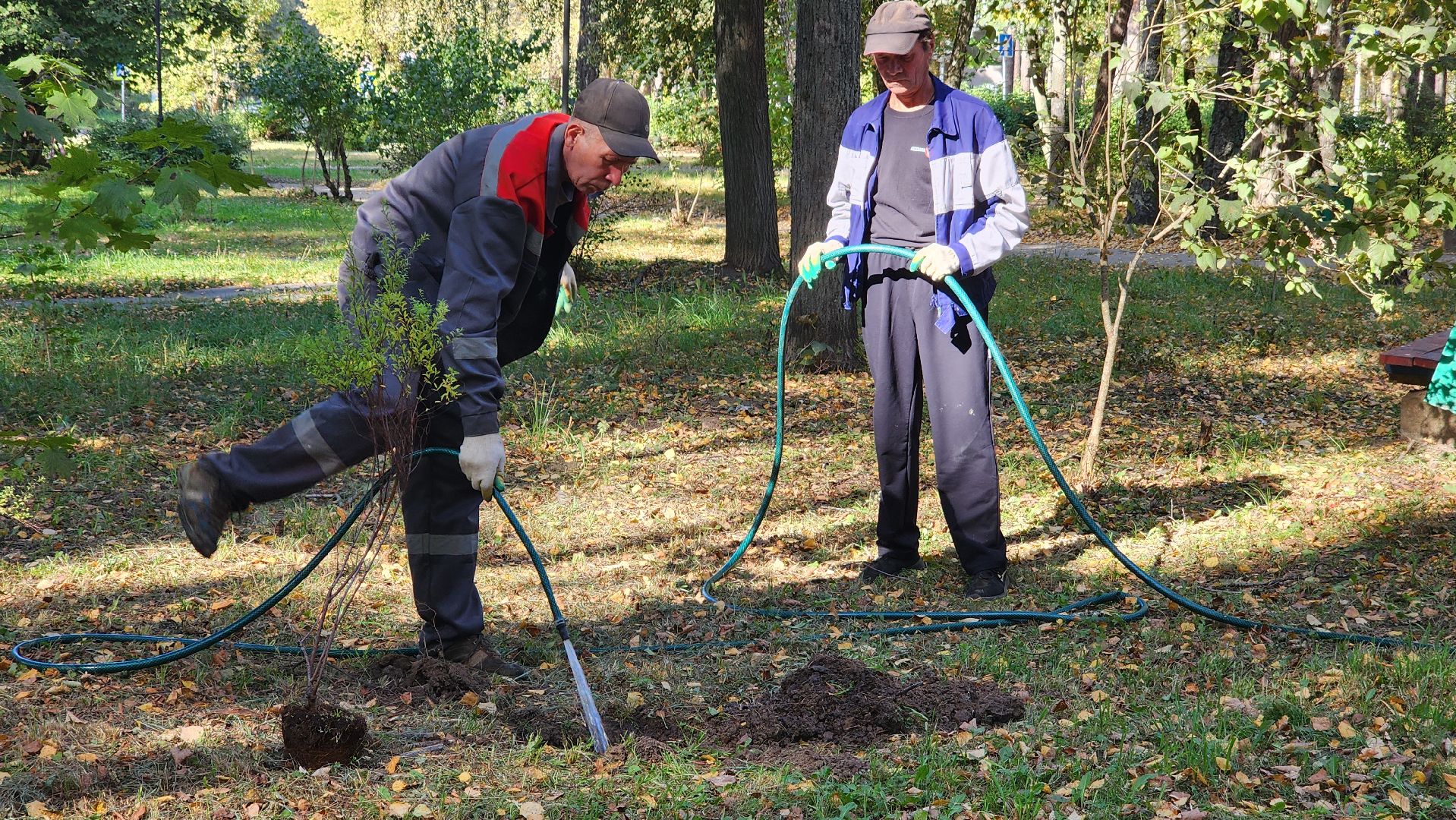 сохраним лес, экология, экологическая акция, протвино, мирабель,
