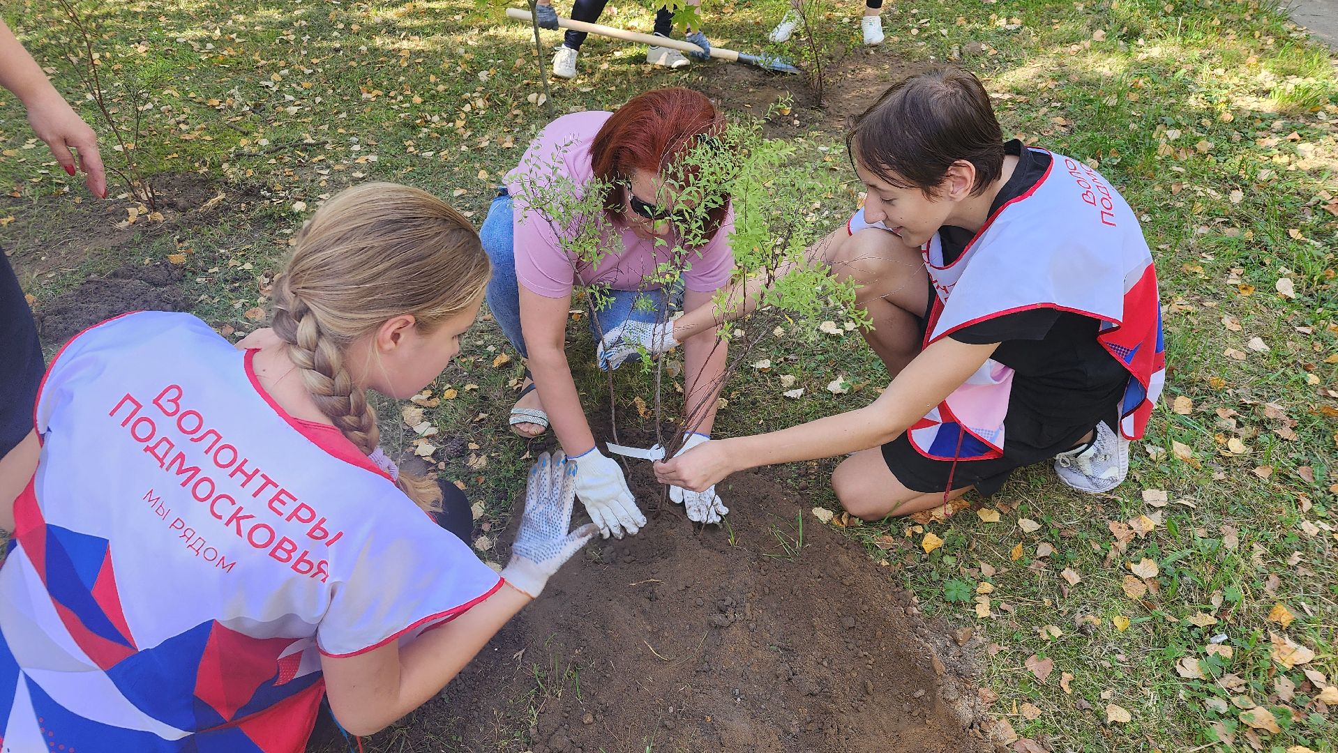 сохраним лес, экология, экологическая акция, протвино, мирабель,