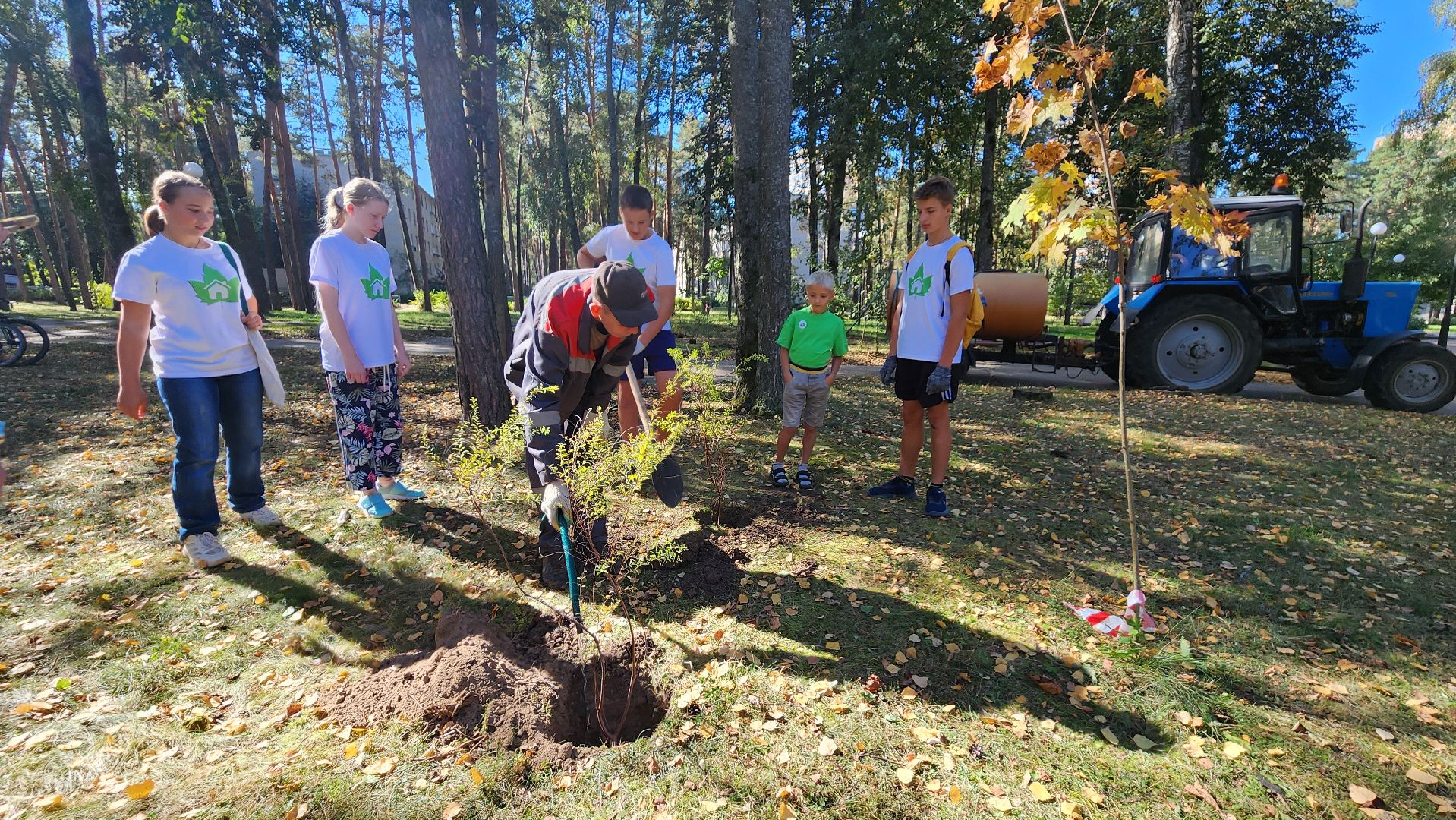 сохраним лес, экология, экологическая акция, протвино, мирабель,