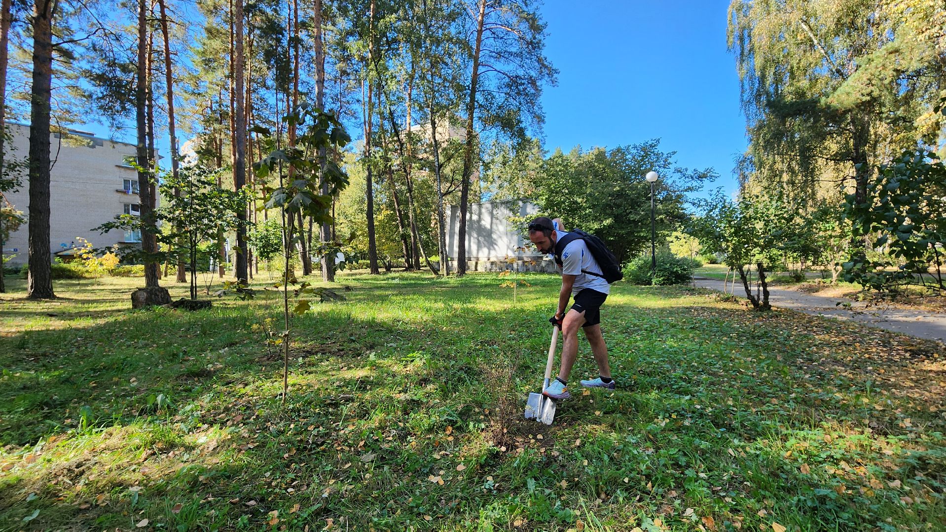 сохраним лес, экология, экологическая акция, протвино, мирабель,