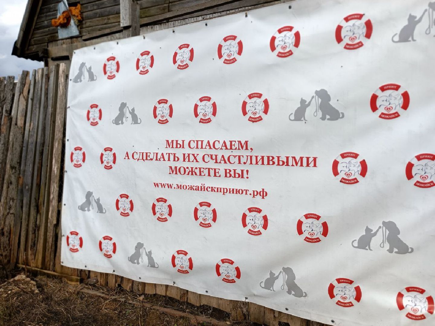 Можайск, Можайский го, Подмосковье, приют для животных, благотворительность, бездомные животные