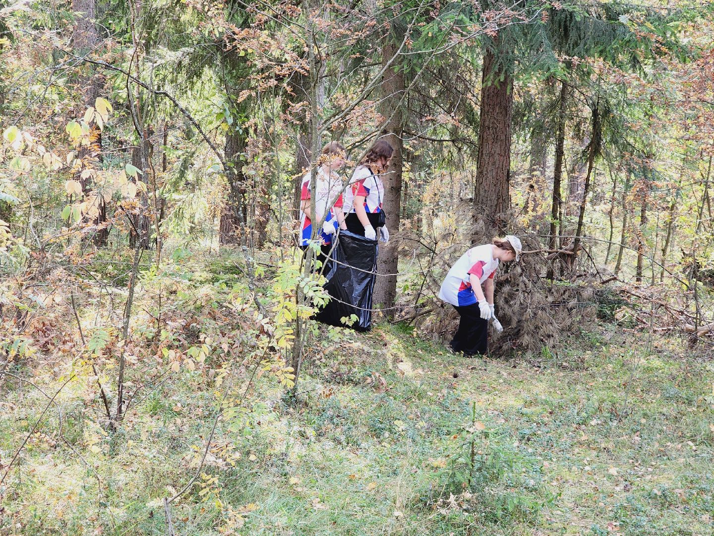 экология, акция, чистый лес, волонтеры, Подмосковье, Егорьевск, Московская область,
