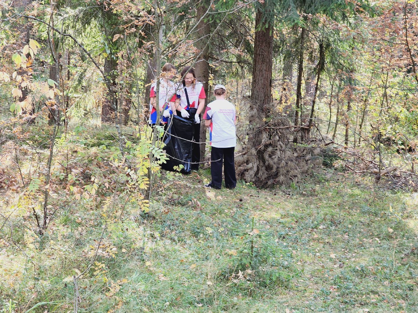 экология, акция, чистый лес, волонтеры, Подмосковье, Егорьевск, Московская область,