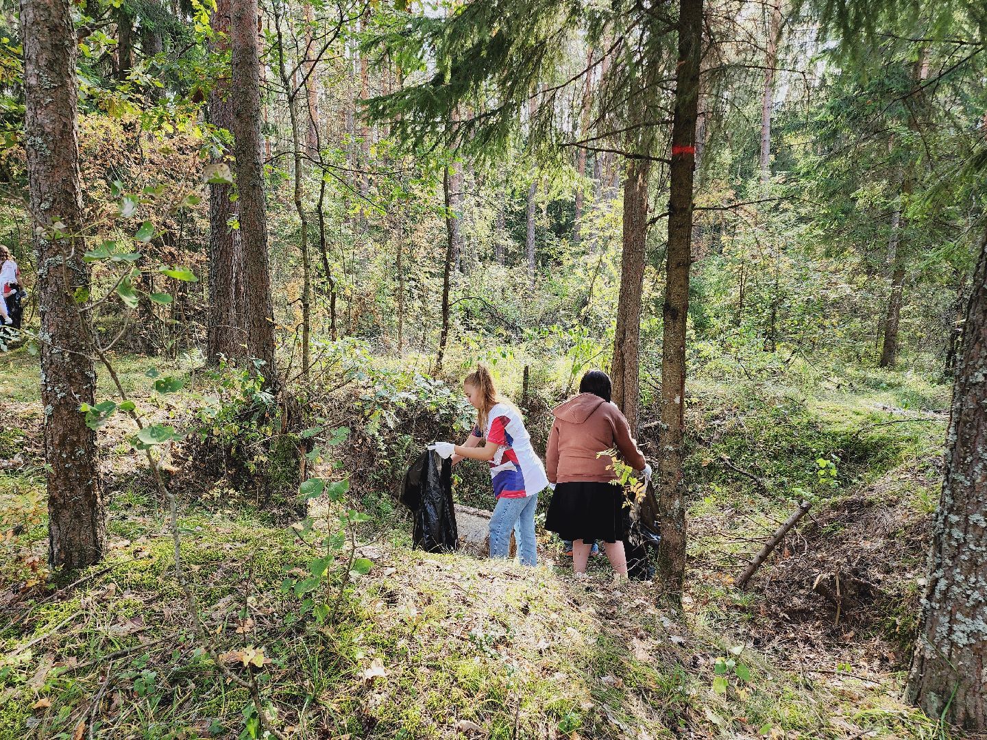 экология, акция, чистый лес, волонтеры, Подмосковье, Егорьевск, Московская область,