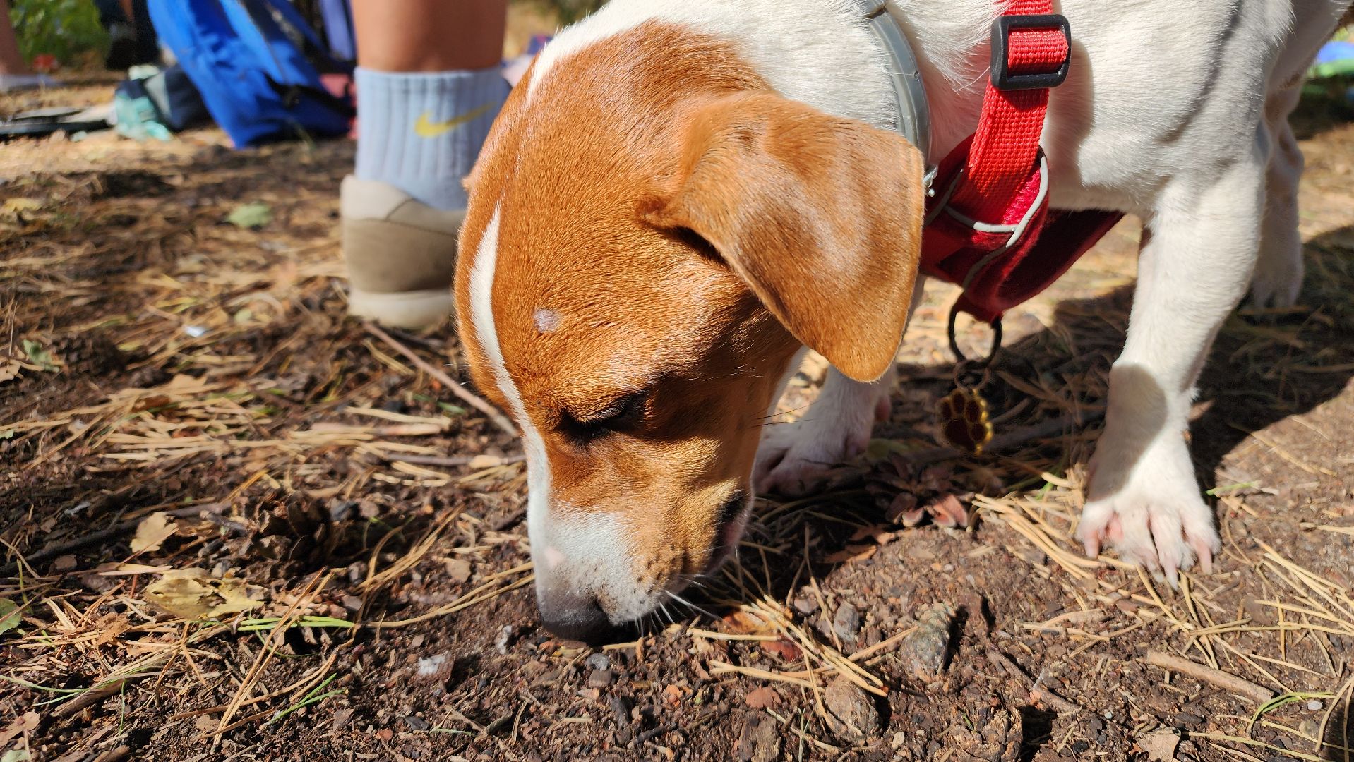 ступино, водные виды спорта, спорт подмосковья,