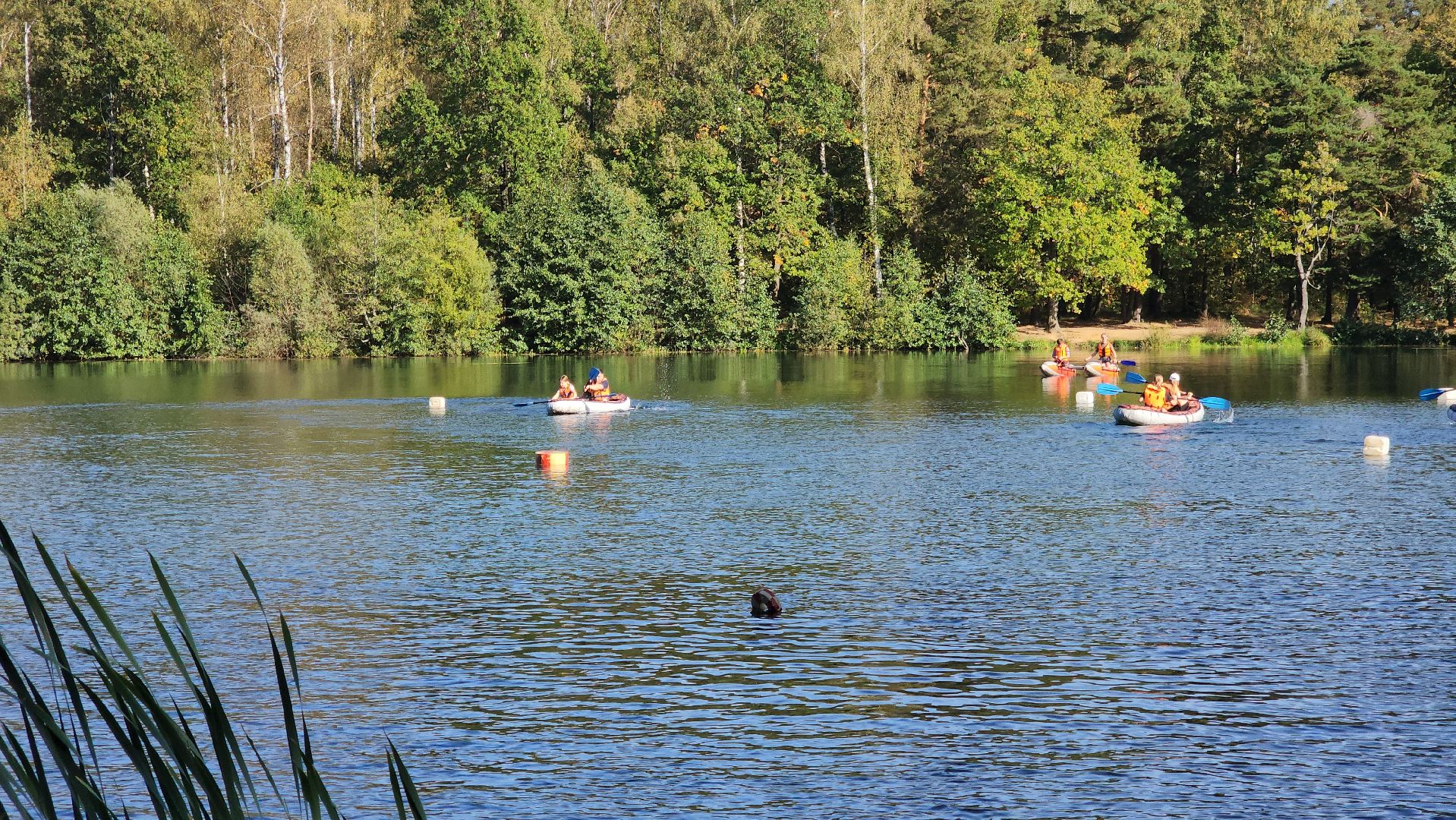 ступино, водные виды спорта, спорт подмосковья,