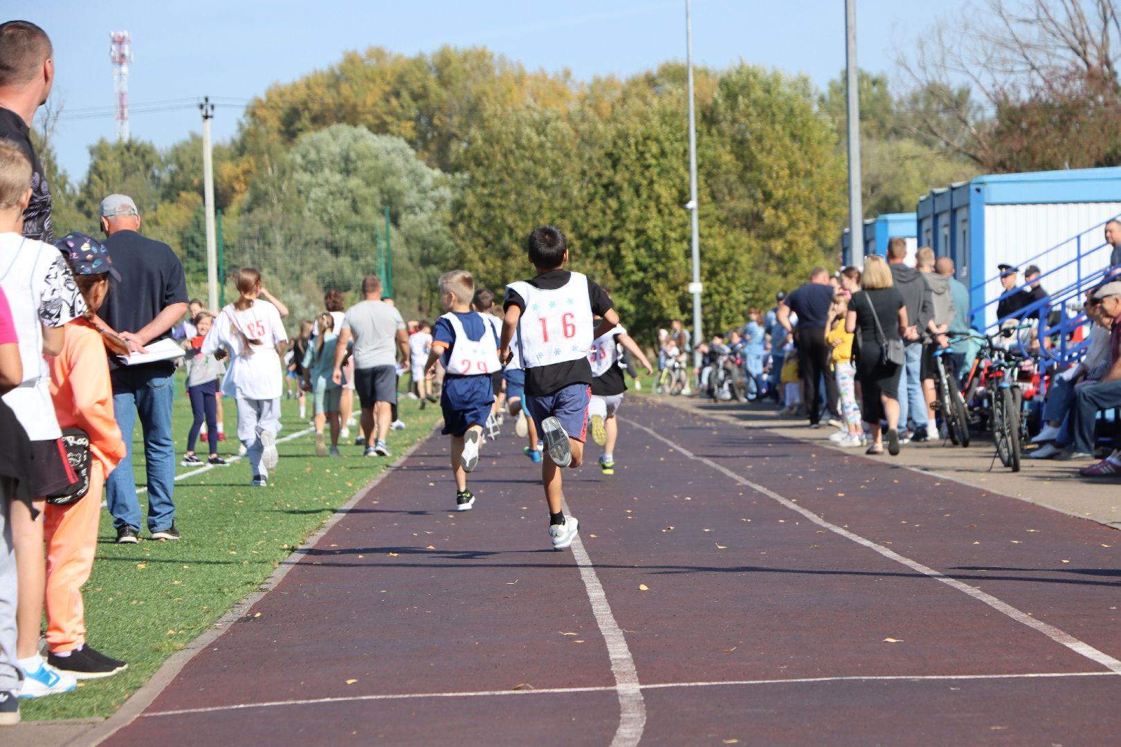 лотошино, лотошинский стадион, спорт, кросс, бег, дети,