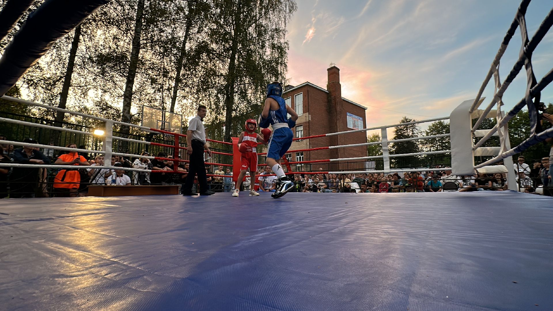 Клин, спорт, бокс, соревнования,