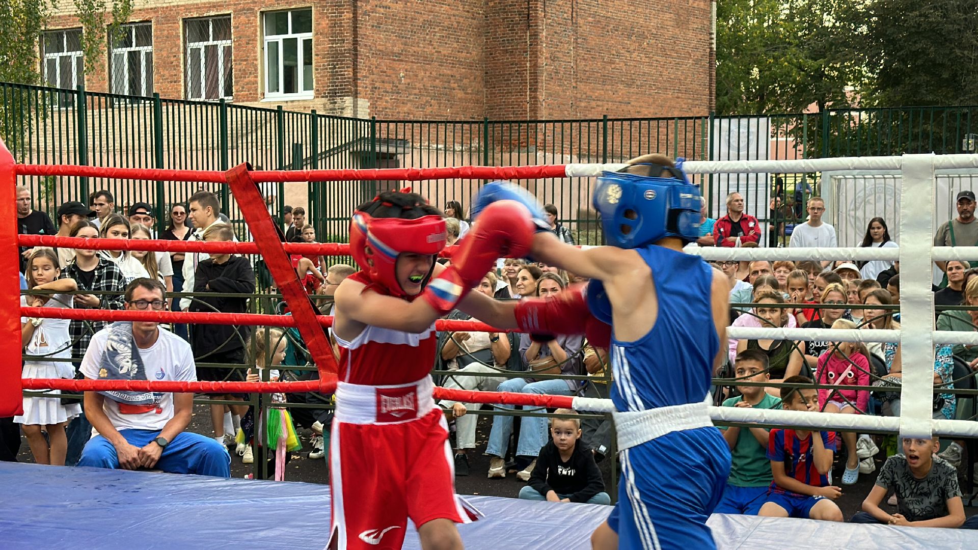 Клин, спорт, бокс, соревнования,