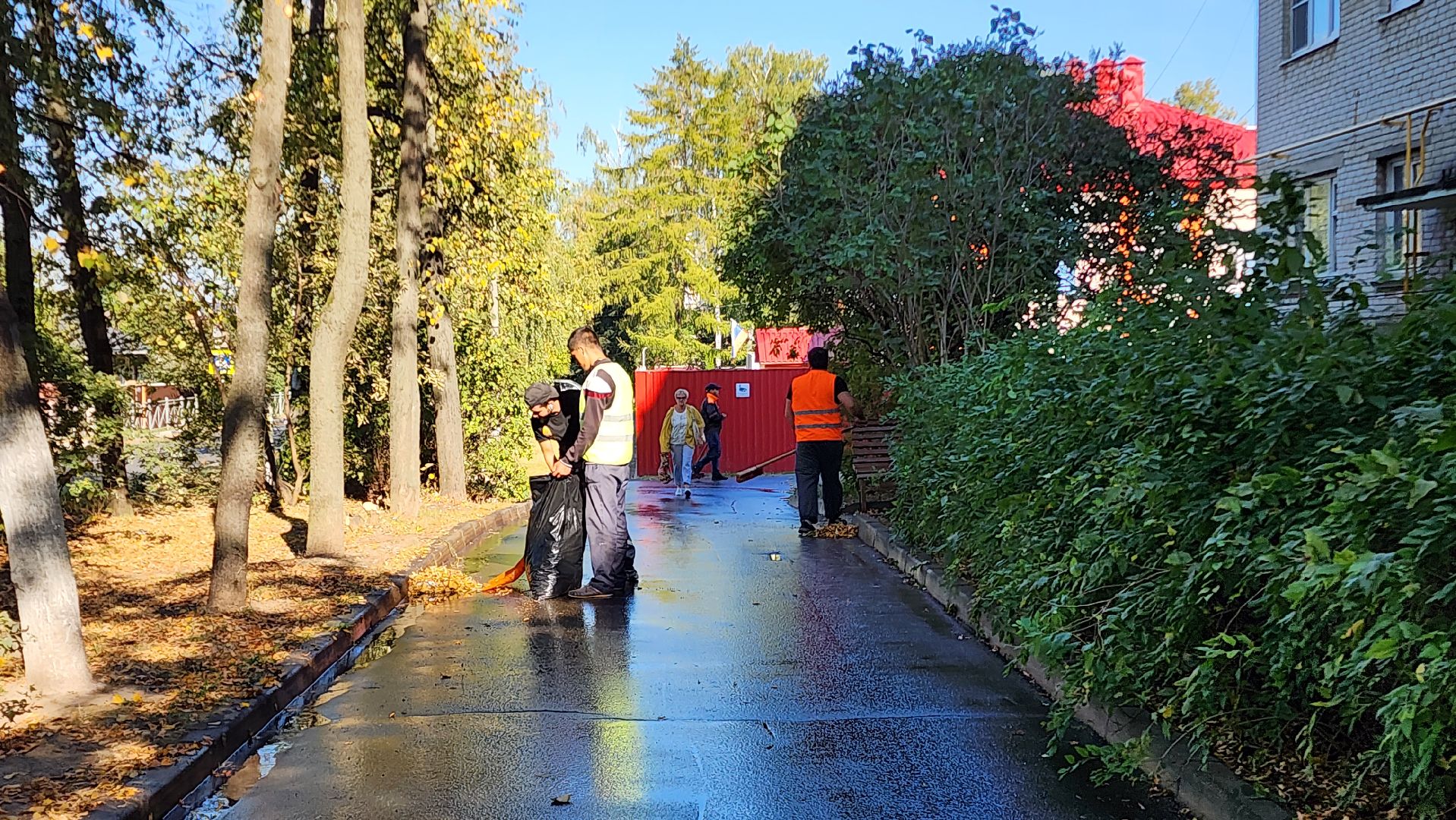 Бронницы, Уборка дворов, Осенняя уборка дворов, Благоустройство,
