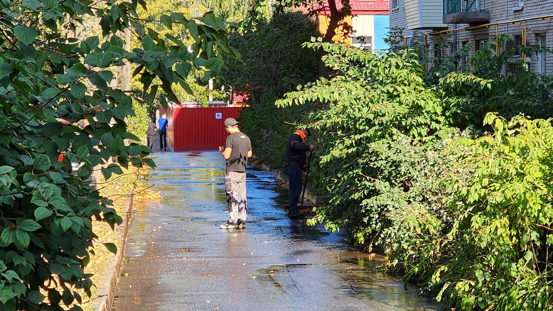 Бронницы, Уборка дворов, Осенняя уборка дворов, Благоустройство,