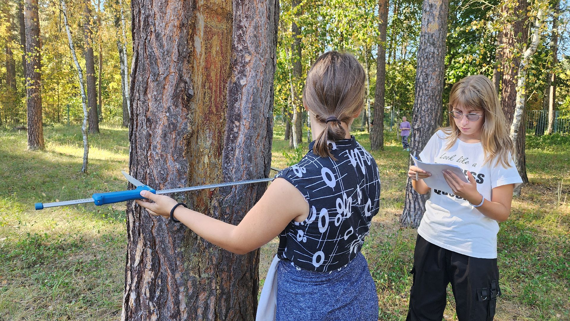 зеленый дом, школьное лесничество, протвино, подготовка к областному слету, русский лес,
