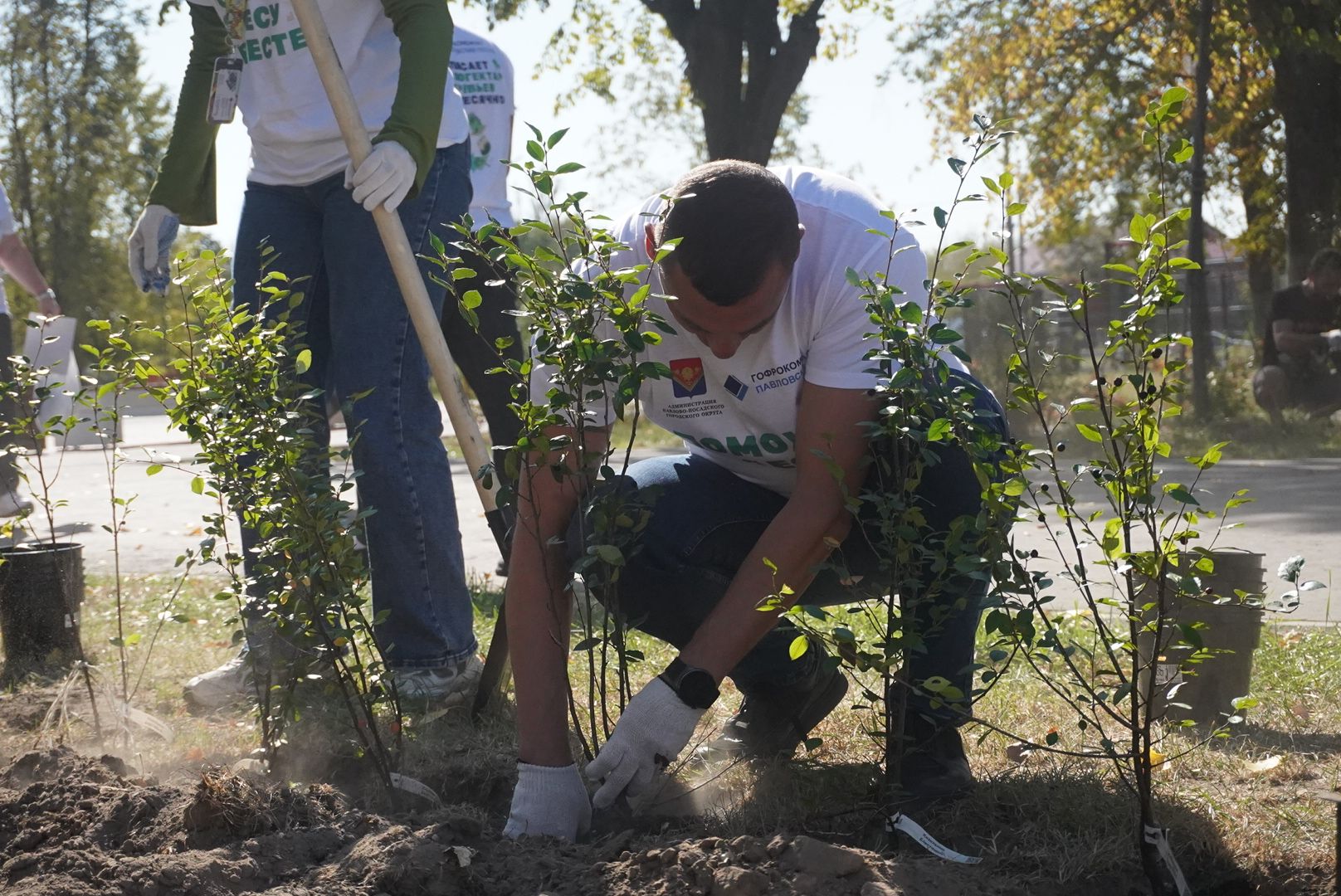 Павловский Посад, город округ павловский посад, люди, лес, акция, деревья,