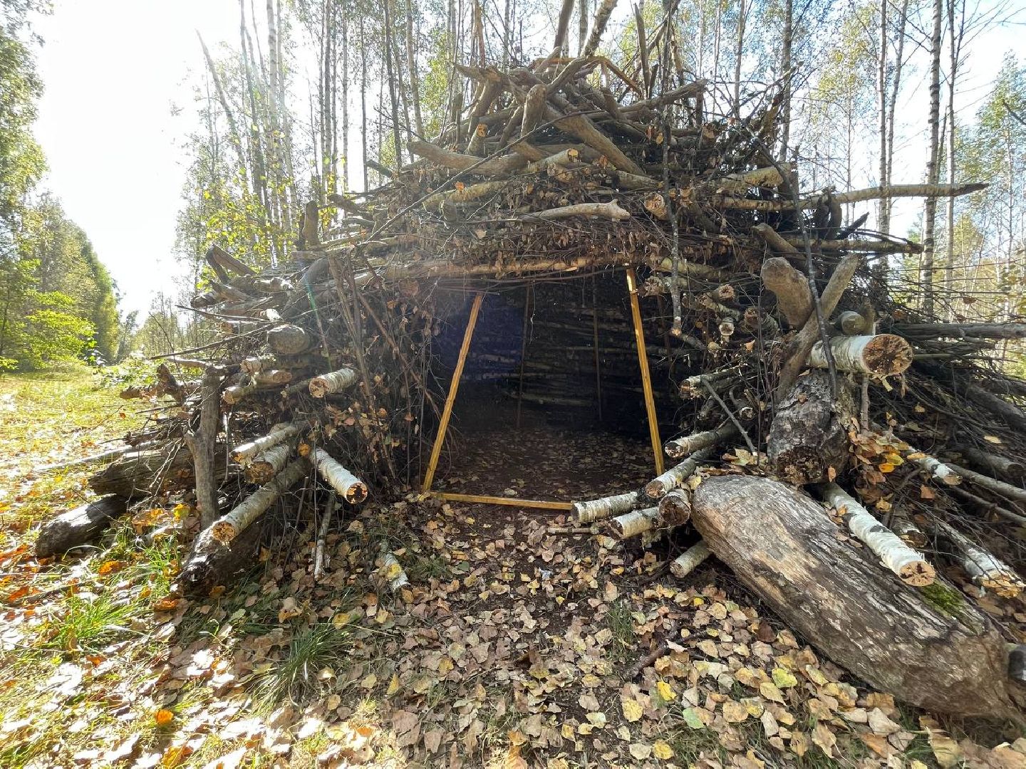 Талдом, Журавлиный фестиваль, Заказник Журавлиная родина,