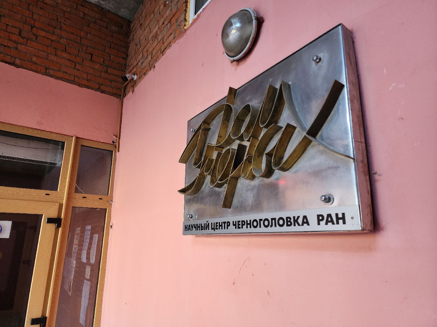 Черноголовка, Кинофестиваль, Короткий метр, Культура,