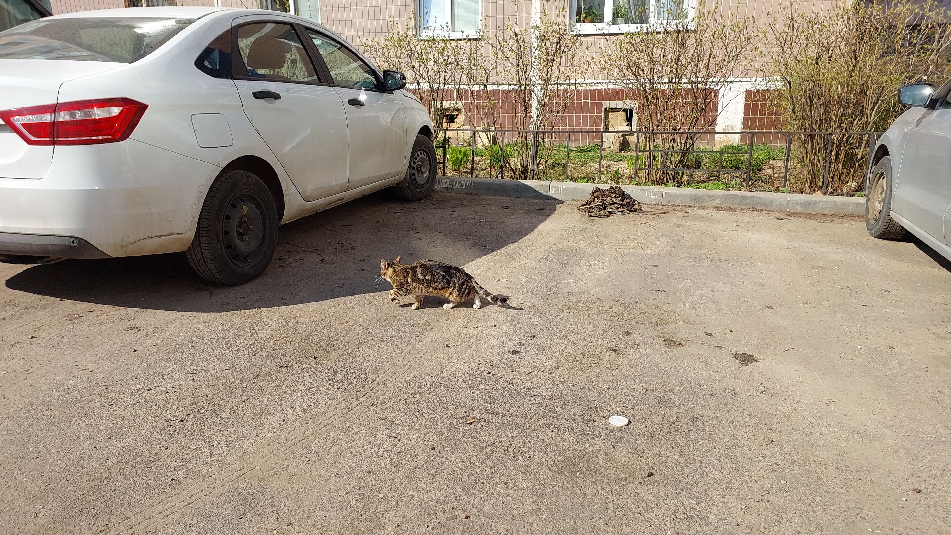 субботник, месячник по уборке, подмосковье, комбинат благоустройства, серпухов,