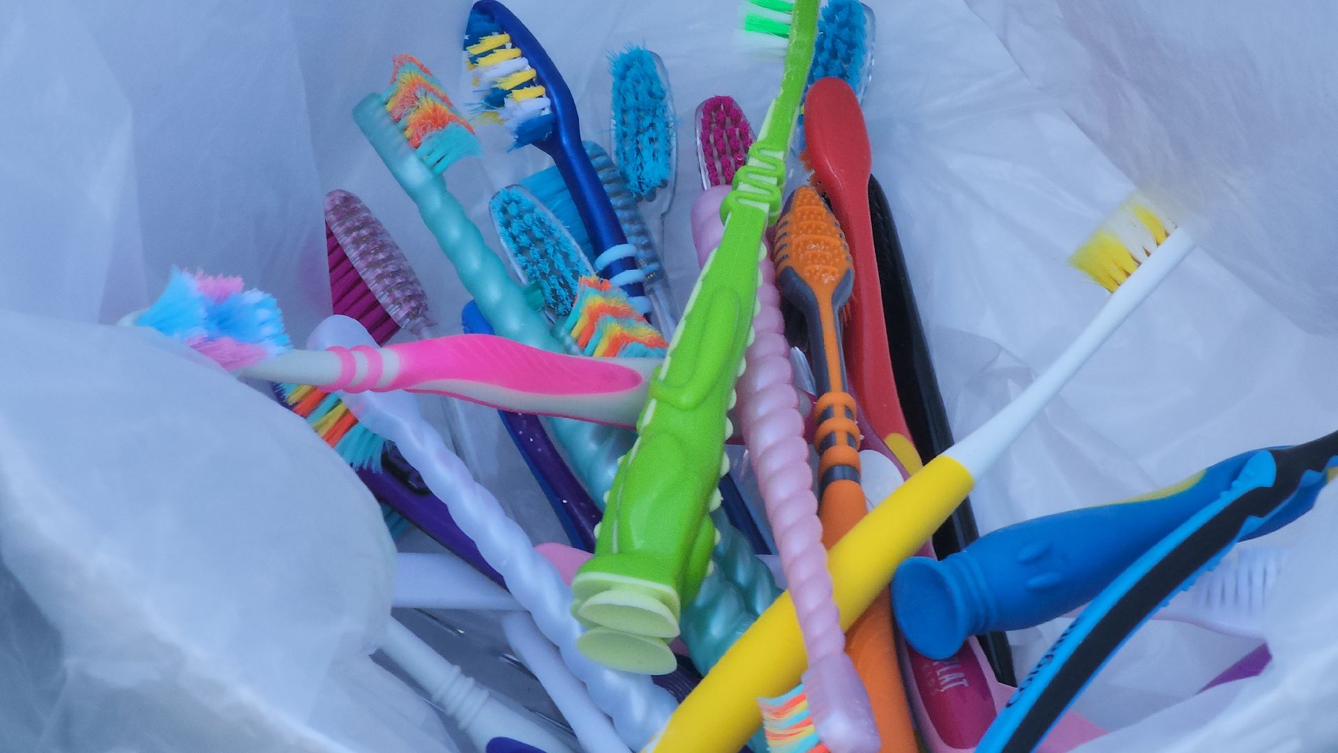 долгопрудный, рсо, новые водники, экология,