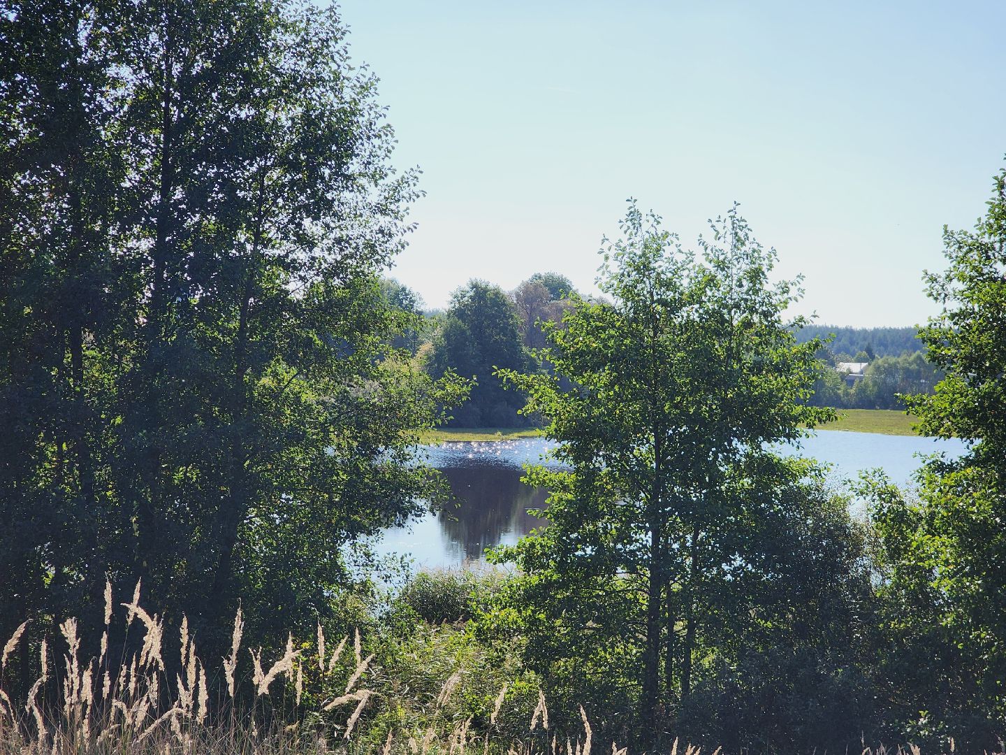Егорьевск, святое озеро, Подмосковье, Московская область, экология, чистые пруды,
