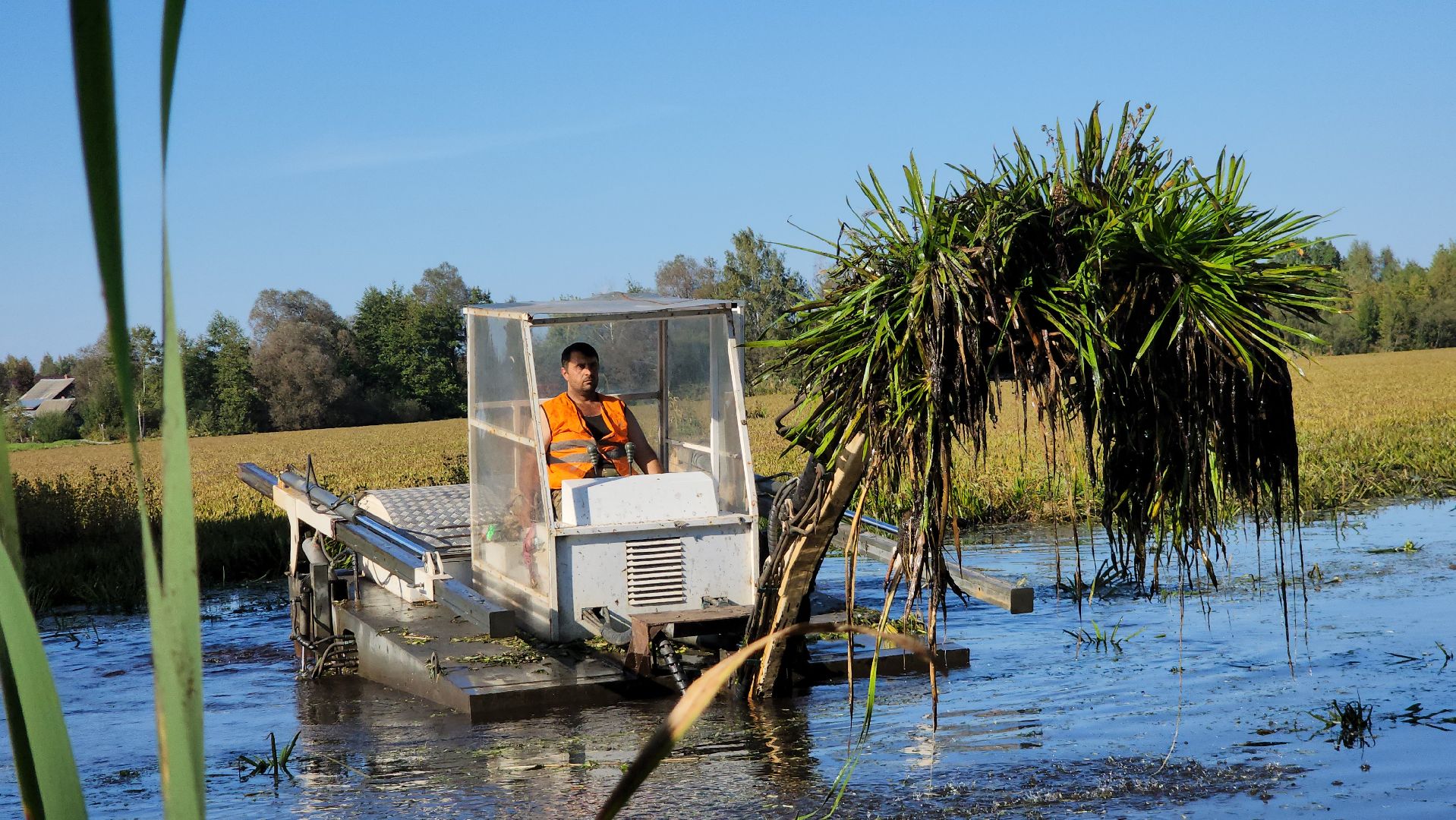 Егорьевск, святое озеро, Подмосковье, Московская область, экология, чистые пруды,