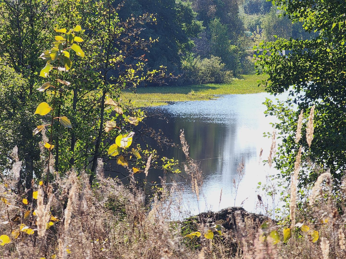 Егорьевск, святое озеро, Подмосковье, Московская область, экология, чистые пруды,