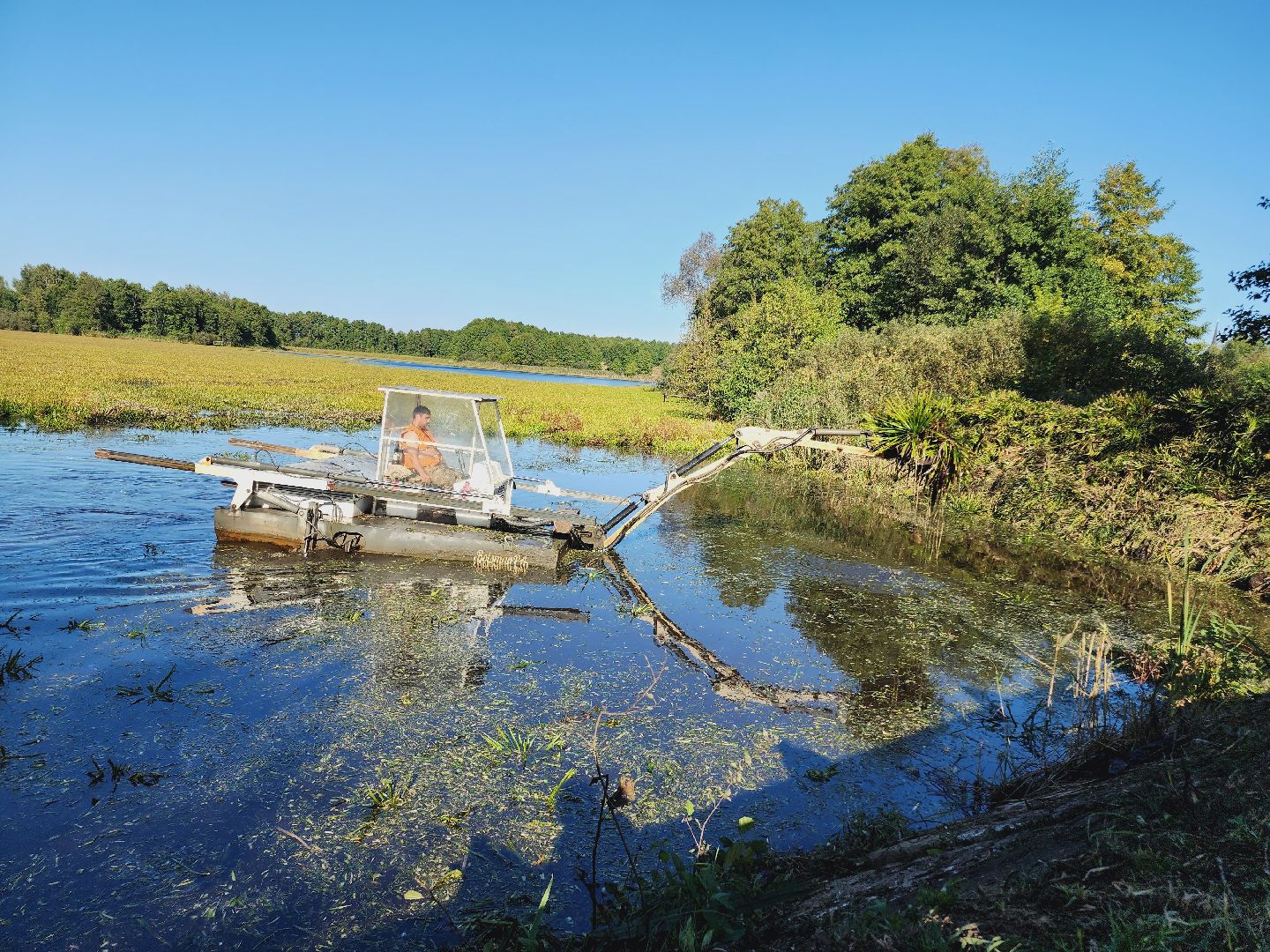 Егорьевск, святое озеро, Подмосковье, Московская область, экология, чистые пруды,
