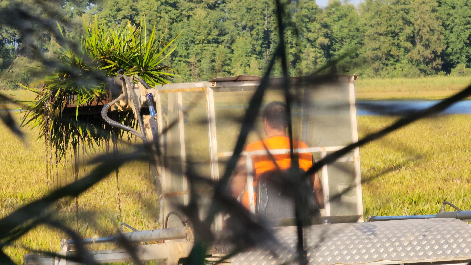 Егорьевск, святое озеро, Подмосковье, Московская область, экология, чистые пруды,